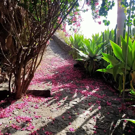 Molino Remanente Apartment Santa Cruz de la Palma (Isla de la Palma)